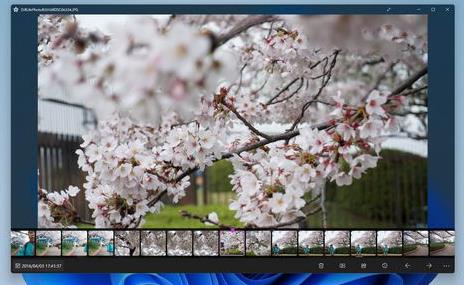 Sakura Photo Viewer官方正式版 v15.0 电脑看图软件